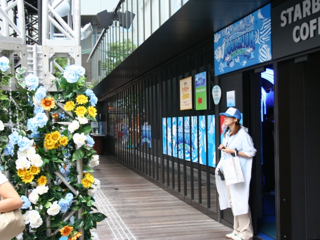 赤坂サカスアクアリウム　東京湾とシーラカンス　展示